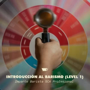 Introducción al barismo (Level 1)