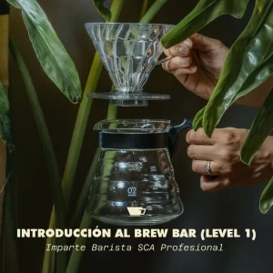 Introducción al Brew Bar (Level 1) "Métodos de extracción"