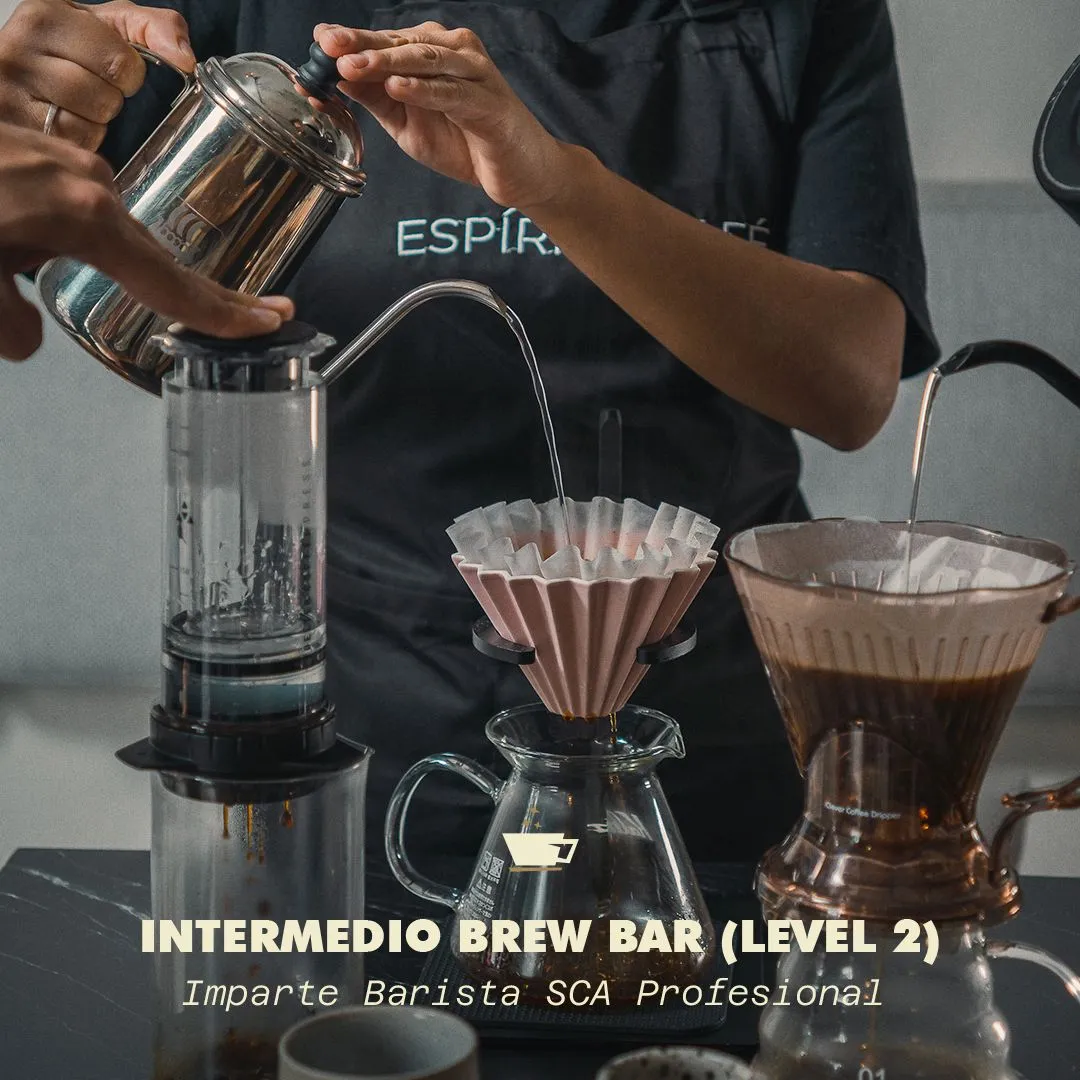 Intermedio Brew Bar (Level 2)