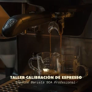 Taller de calibración de espresso