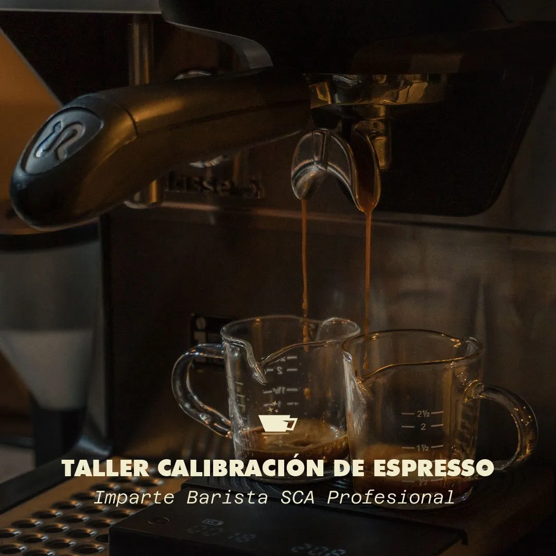 Taller de calibración de espresso