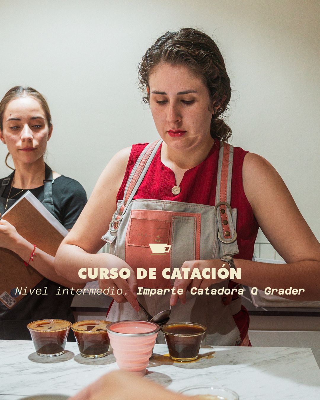 Catación Intermedia