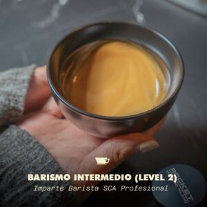 Barismo Intermedio (Level 2)