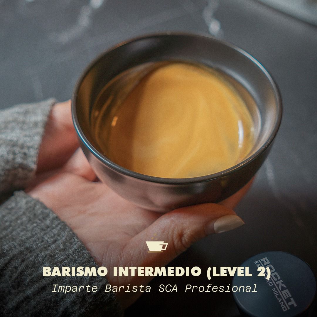 Barismo Intermedio (Level 2)