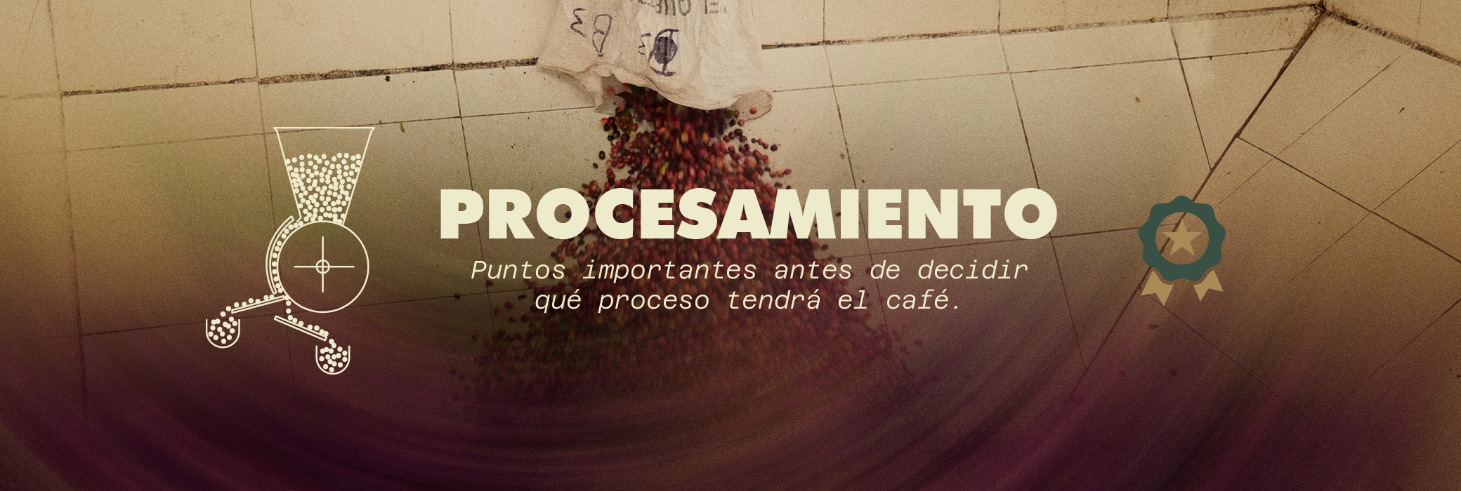 PROCESOS_2080x700